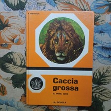 Caccia grossa gli usato  Chieti
