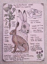 original hare painting for sale original hare painting for sale FAREHAM