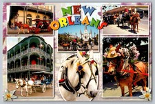 Postcard buggy ride for sale  Versailles