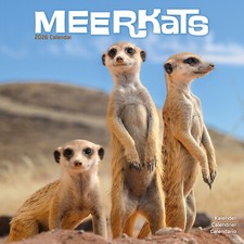 Meerkats 2026 calendar for sale  UK