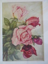 ஐ aquarell rosen gebraucht kaufen  Mosbach