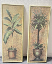 Tropical palm banana for sale  LONDON