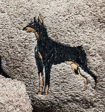 Doberman pinscher dog for sale  Golden Valley