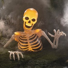 Halloween 2025 huge d'occasion  Expédié en Belgium
