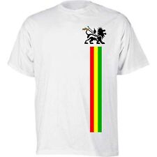 Lion judah shirt for sale  LANCASTER