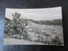 Steinbach thüringer wald gebraucht kaufen  Deutschland