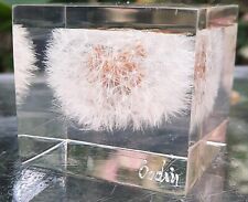 Inclusion plexiglas altuglas d'occasion Inclusion plexiglas altuglas d'occasion  Montigny-le-Bretonneux