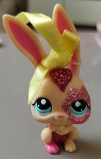 Petshop lapin lièvre d'occasion  Concarneau