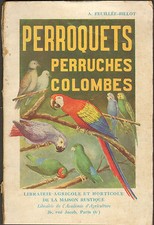Perroquets perruches colombes d'occasion  Ouzouer-sur-Loire
