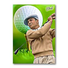 Ben hogan ace for sale  Los Angeles