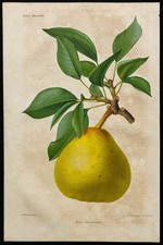 1863 poire chaigneau d'occasion  France