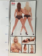 Ice magazine poster for sale  SWANSEA