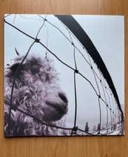 Pearl jam vinyl gebraucht kaufen  Templin