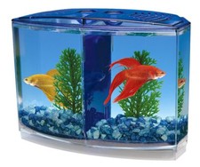 Twin betta bow d'occasion  Lyon I