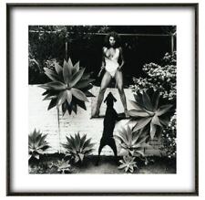 Helmut newton raquel for sale  LEEDS