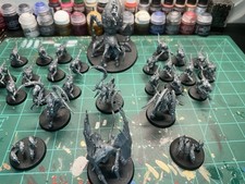 Tyranids starter army for sale  Woodbine