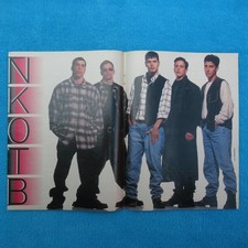 Nkotb new kids gebraucht kaufen  Jena