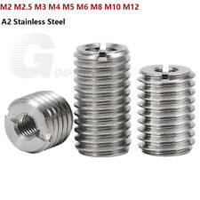 M2 M3 M4 M5 M6 - M12 Gewinde Adapter Reduzierstück Gewindeeinsätze Edelstahl V2A comprar usado  Enviando para Brazil