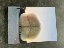 Dandelion the making gebraucht kaufen  Deutschland