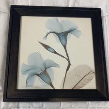 Mandeilla iris framed for sale  Tulsa