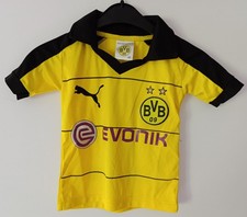 Bvb borussia dortmund gebraucht kaufen  Hagen