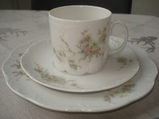 Rosenthal classic rose gebraucht kaufen  Taunusstein