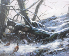 John trickett original for sale  COLWYN BAY
