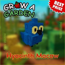 Hyacinth macaw grow d'occasion  Expédié en Belgium
