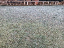 Ausziehbare alu leiter gebraucht kaufen  Kenzingen