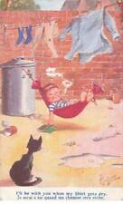 Chats mk980 chat d'occasion  France
