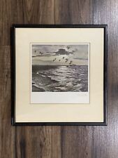 Peter scott wigeon for sale  BIRMINGHAM