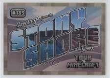 2024 Minecraft Tour of Iron /475 Greetings From the Stony Shore Bioma #185 1d2q comprar usado  Enviando para Brazil