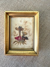 Tyrol dried pressed for sale  Mchenry
