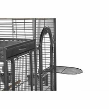 Eli deluxe parrot for sale  Duluth