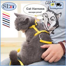 Laisse harnais chat d'occasion  Gignac