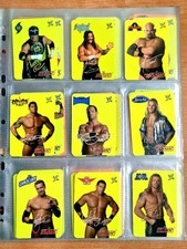Set lamincards wwe usato  Nonantola
