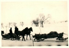 Foto wk2 schlitten gebraucht kaufen Foto wk2 schlitten gebraucht kaufen  Jena