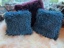 Pair two shaggy for sale Pair two shaggy for sale  NEWCASTLE UPON TYNE
