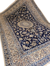 Königlicher nain perser gebraucht kaufen  Wuppertal