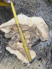 Legno ulivo pezzo usato  Rodi Garganico