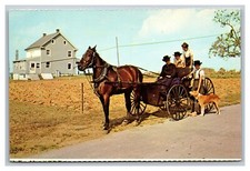 Lancaster pennsylvania amish for sale  Bicknell