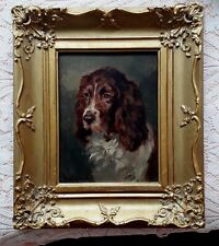 Springer spaniel oil for sale  LONDON