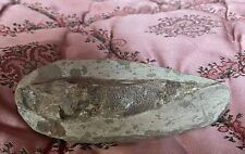 Rare fish fossil for sale  UK