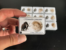 Mammoth hair box d'occasion  Expédié en Belgium