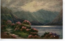 Vintage raphael tuck for sale  Sevierville