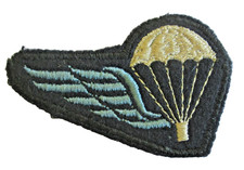 Armée belge brevet d'occasion  Verdun