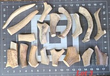 5lbs 34pcs whitetail for sale  Mooresburg