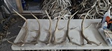 Brown elk shed for sale  Montrose