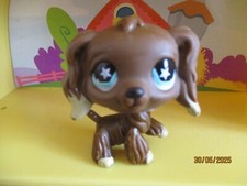 Petshop spaniel dog d'occasion  Expédié en Belgium