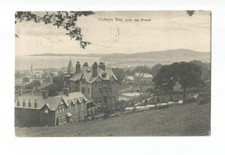 Colwyn bay woods for sale  NORWICH